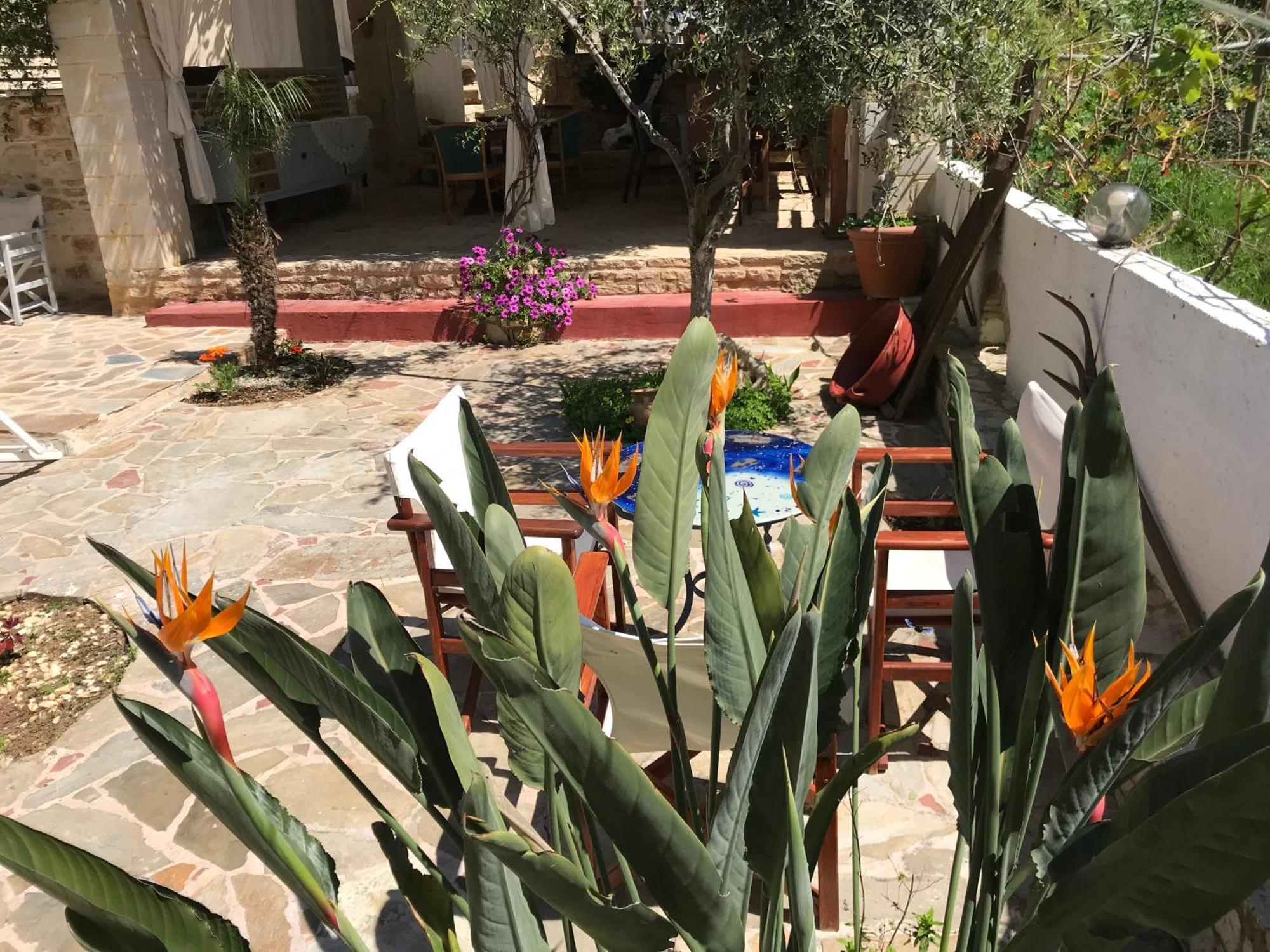 דירות Pánormos Idili מראה חיצוני תמונה
